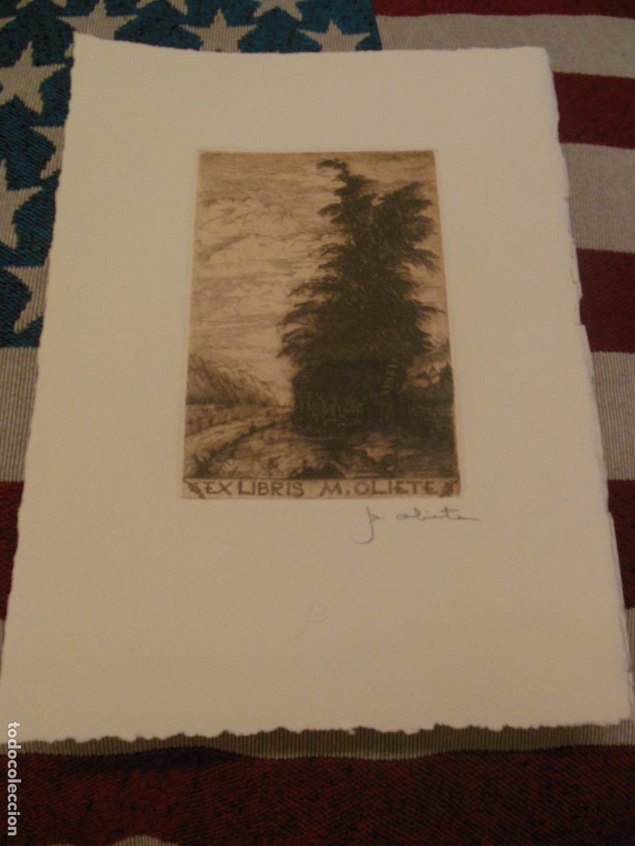 Arte: EXLIBRIS AGUAFUERTE DE MARTIN OLIETE PARA &Eacute;L - EX LIBRIS PAISAJE - Foto 1