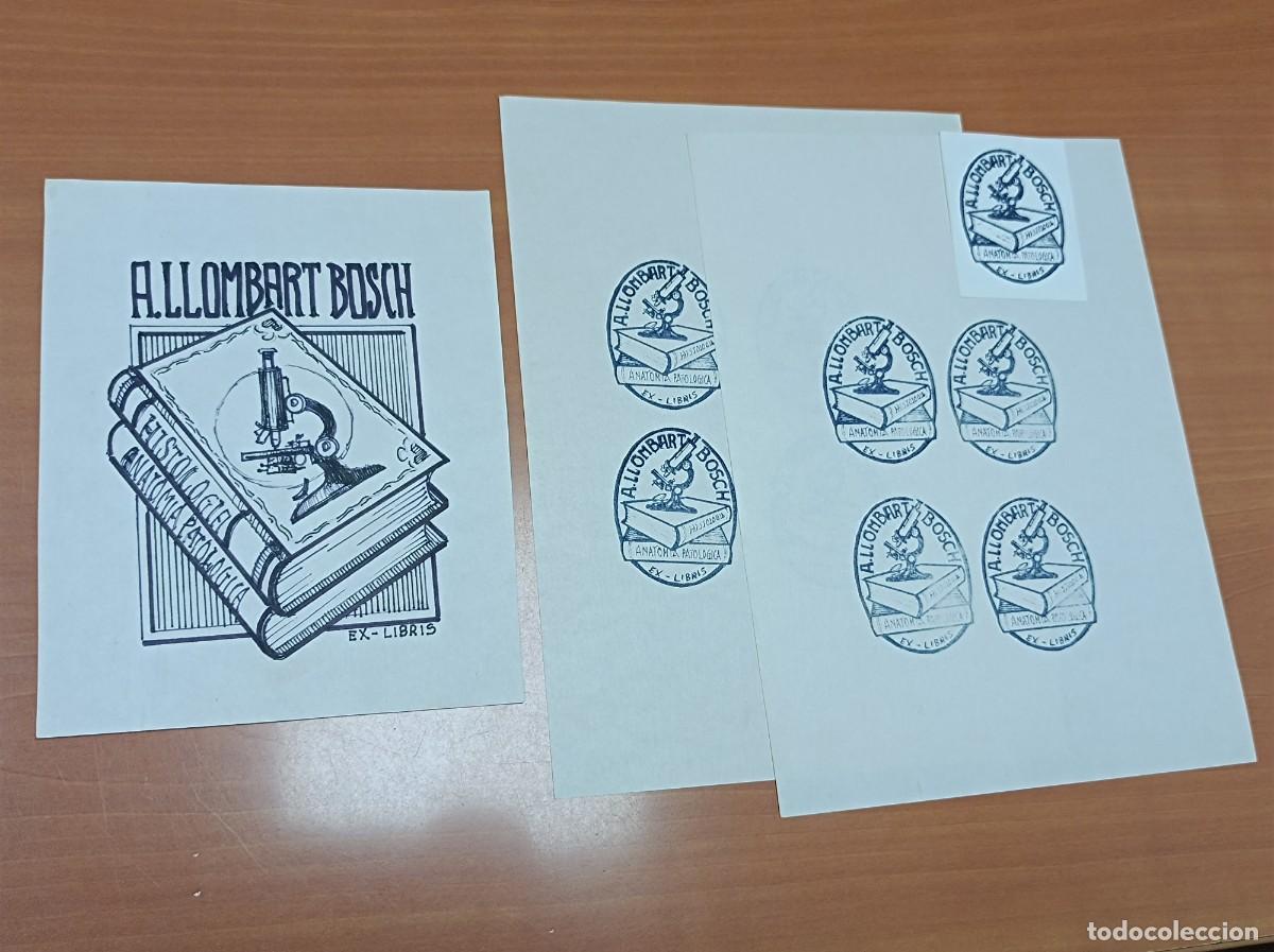 Arte: BOCETO ORIGINAL EX LIBRIS A. LLOMBART BOSCH - Foto 1