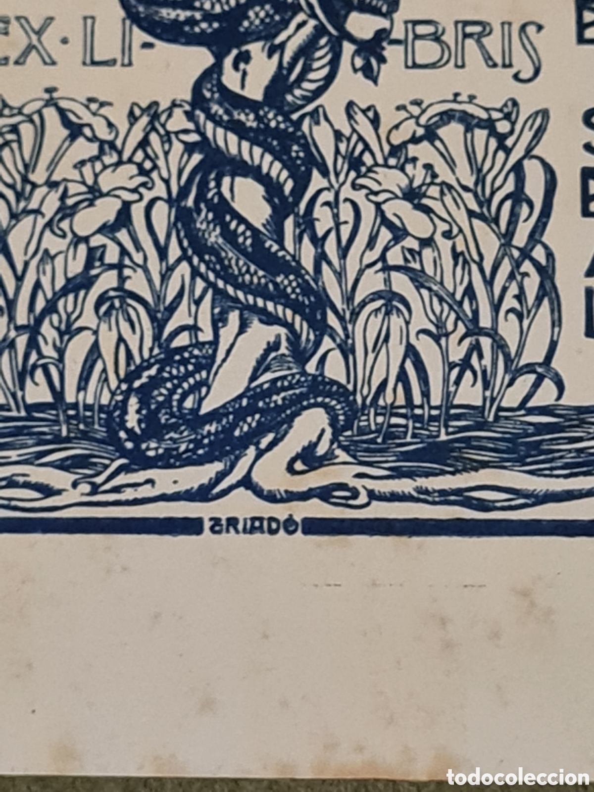 Arte: Exlibris Josep Triad&oacute; - Foto 2