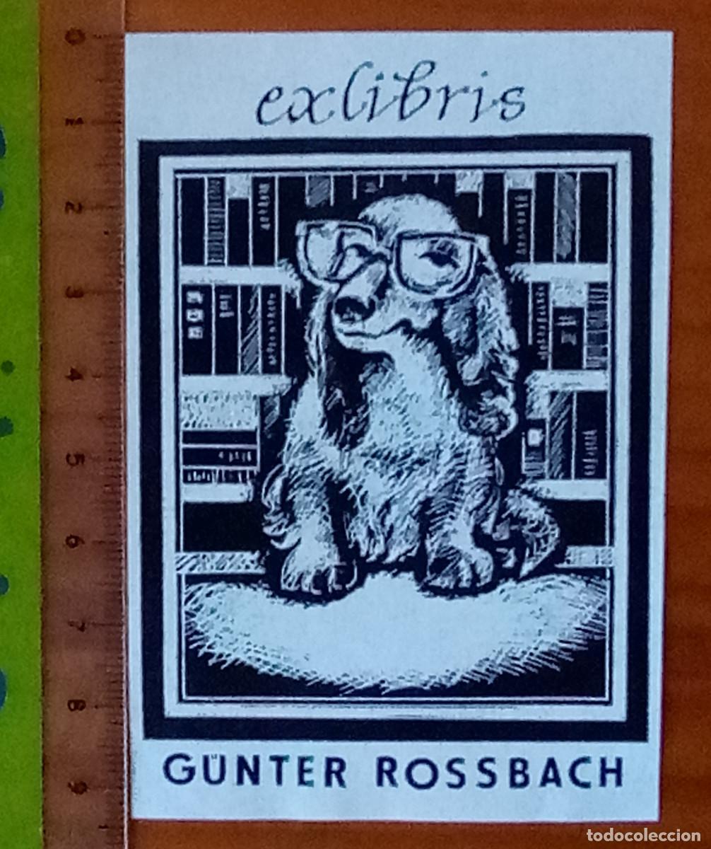 Arte: Ex-libris Exlibris para G&uuml;nter Rossbach. Perro Biblioteca Libro - Foto 1