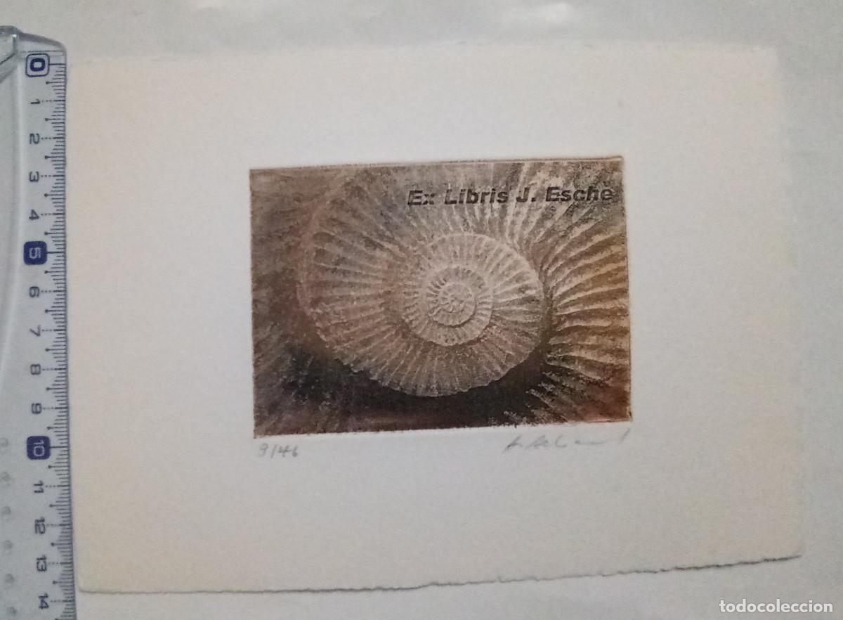 Arte: Ex-libris Exlibris A. Aeberhard, 2010. F&oacute;sil Ammonites Amonites. Firmado & numerado (9/46)