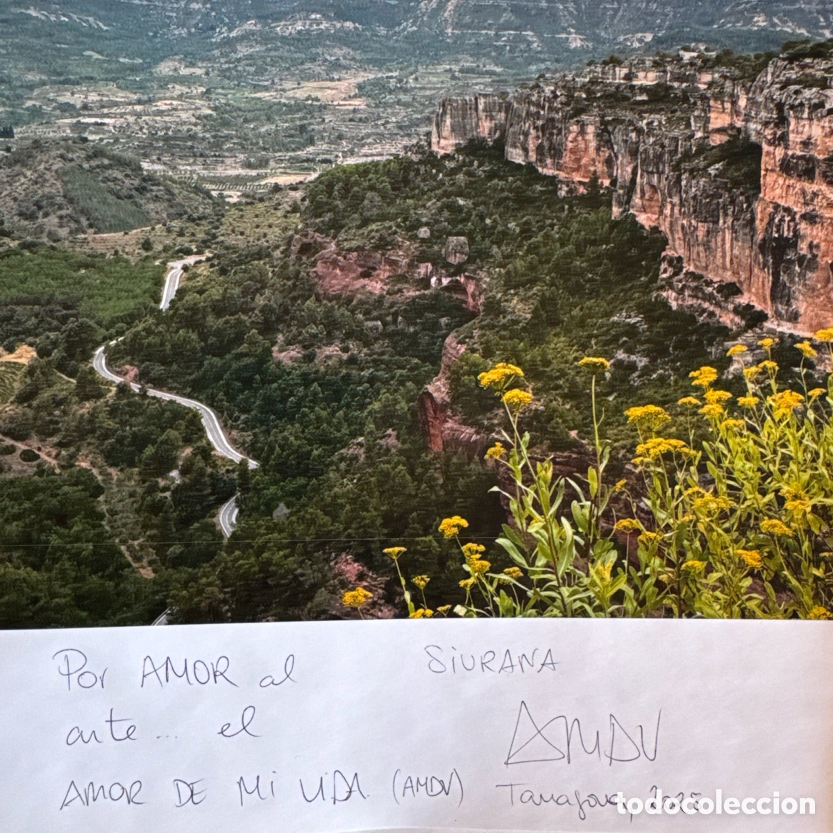 Arte: ExLibriseBay/SCVLPIT pagina personalizadas de mi libro TARRACO GENV&Iuml;NA