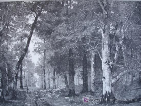 Art: PAISAJES DEL NORTE,EBEL