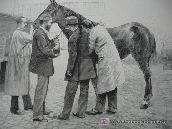 Art: PARIS,SUERO ANTIDIFTERICO,DOCTOR ROUX