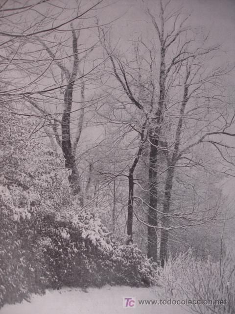 Arte: PAIS NEVADO,COX - Foto 1