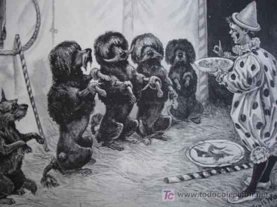 Art: RACION EXTRAORDINARIA.WAIN