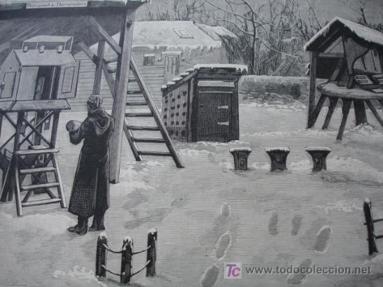 Arte: LONDRES,GREENWICH,OBSERVATORIO GREENWICH - Foto 1