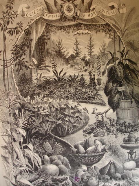 Kunst: MADRID,RETIRO,EXPOSICION FLORES Y PLANTAS