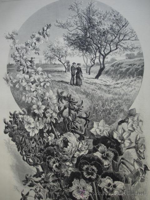 Art: LAS PRIMERAS FLORES,RUIDAVETS