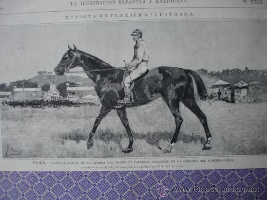 Art: LITLLE DUCK,VENCEDOR GRAN PRIX