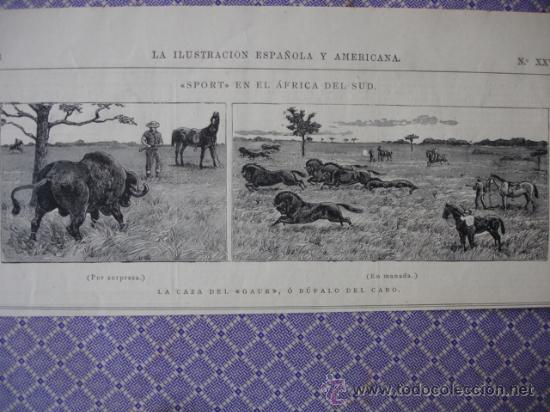 Arte: EL CABO,CAZA DEL BUFALO - Foto 1