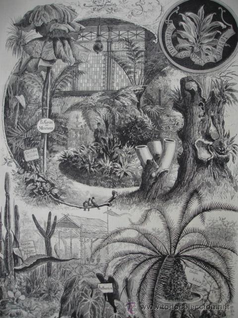Kunst: MADRID,EXPOSICION PLANTAS Y FLORES EN RETIRO