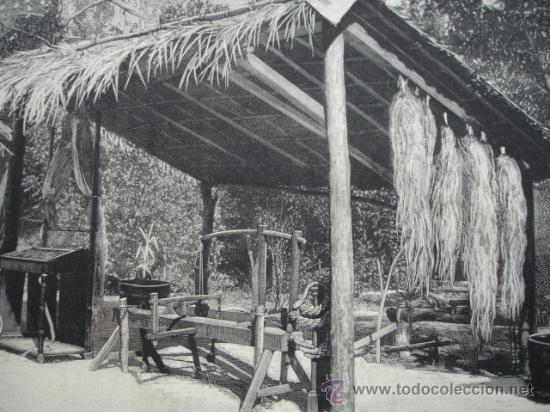Arte: MADRID,EXPOSICION DE FILIPINAS,ABACA - Foto 1