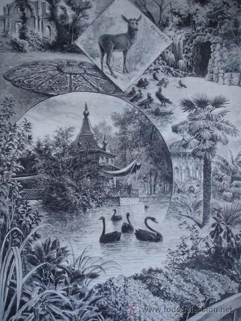 Arte: MADRID,SOCIEDAD CENTRAL DE HORTICULTURA