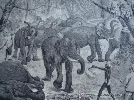 Arte: INDIA,MYSORE,CAZA ELEFANTES - Foto 1