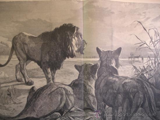 Arte: EL DESIERTO.GODDARD