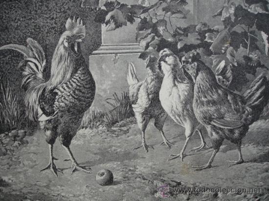 Arte: JUICIO DE PARIS.JIMENEZ