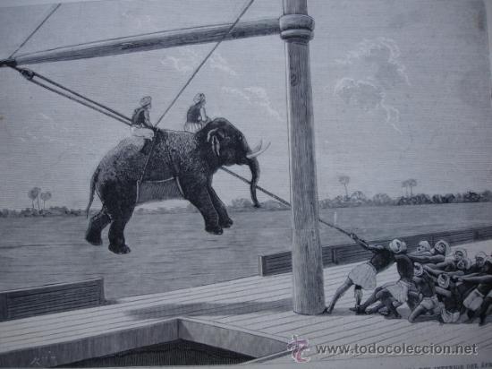 Arte: ZANZIBAR.DESEMBARQUE ELEFANTES
