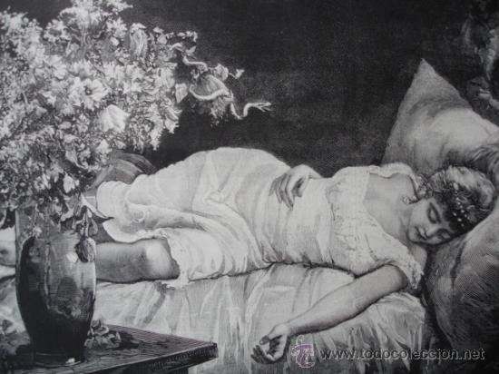 Arte: LA VENGANZA DE LAS FLORES.GUSTAVO WERTHEIMER