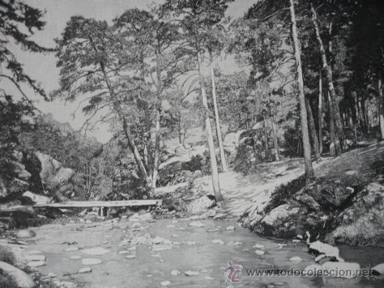 Arte: LA GRANJA .PRADERA BOCA DEL ASNO - Foto 1