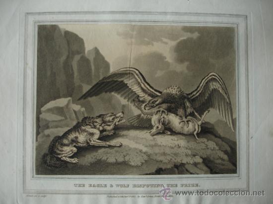 grabado ingles ,1813,original edward orme, - Buy Modern engravings of  the XIX century on todocoleccion