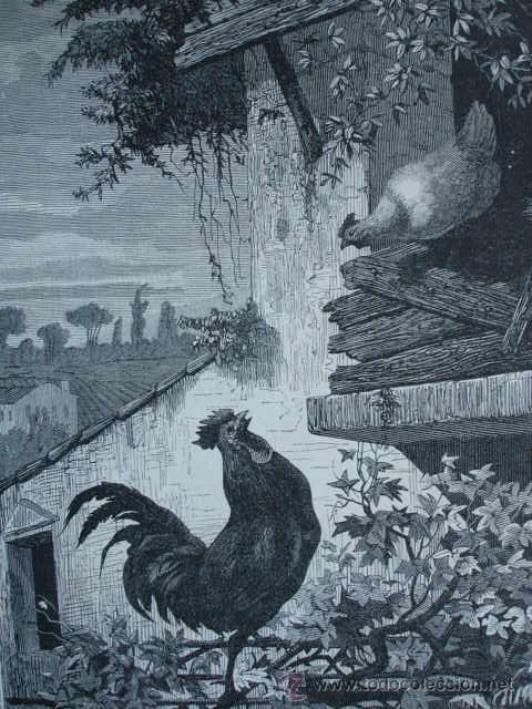 Arte: ROMEO Y JULIETA.GON&Ccedil;ALVES PEREIRA