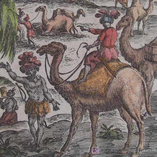 Arte: Dromedarios de Mallet, 1683 - Foto 1