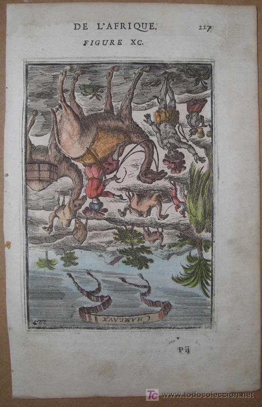 Arte: Dromedarios de Mallet, 1683 - Foto 2