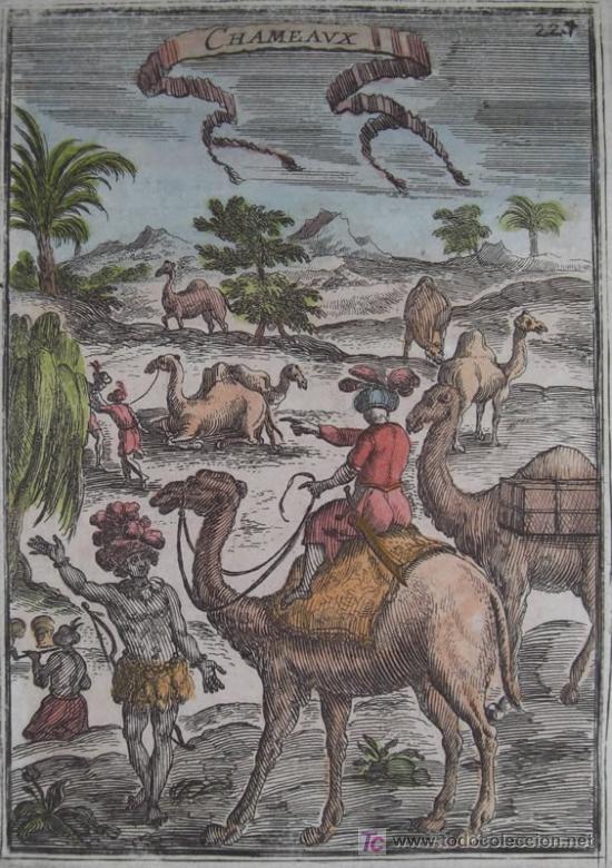 Arte: Dromedarios de Mallet, 1683 - Foto 3