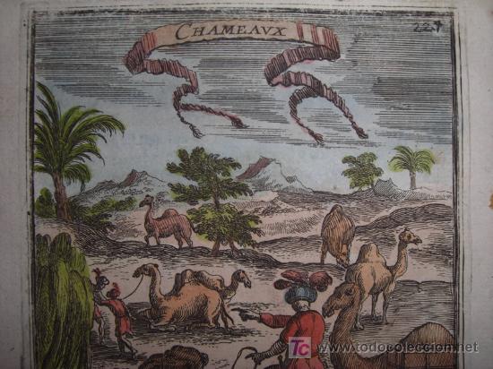 Arte: Dromedarios de Mallet, 1683 - Foto 4