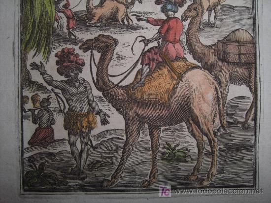Arte: Dromedarios de Mallet, 1683 - Foto 6
