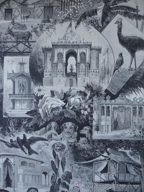 Arte: MADRID.SOCIEDAD PROTECTORA DE ANIMALES Y PLANTAS
