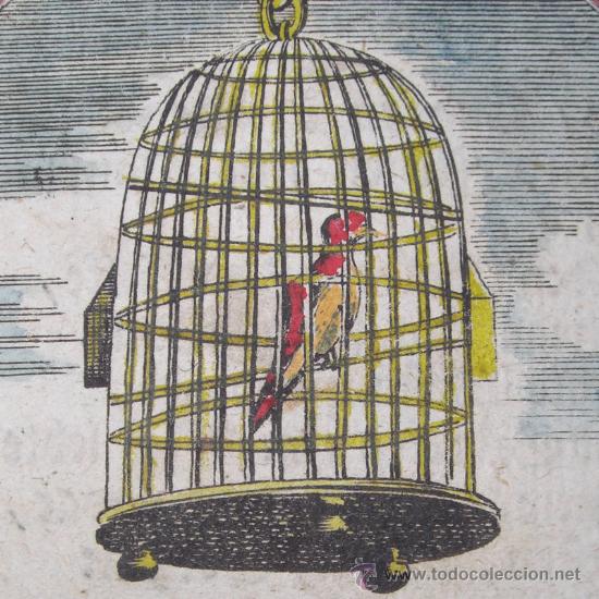 Arte: P&aacute;jaro enjaulado, 1680 - Foto 1
