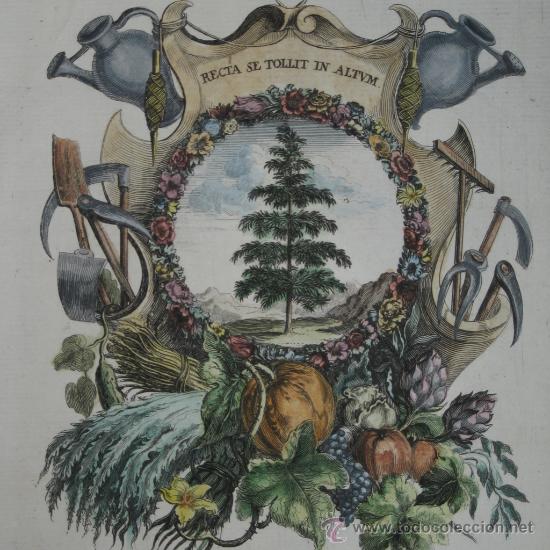 Arte: Emblema del Oto&ntilde;o, S&eacute;bastien Le Clerc, 1690 - Foto 1