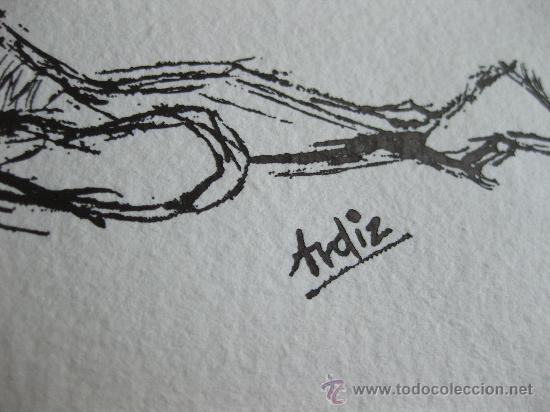 Arte: GRABADO DE ARDIZ - Foto 2