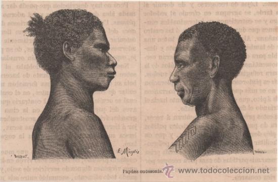 Arte: GRABADO. PAP&Uacute;ES OUOSAONIS. E. MESPLES. 1880. - Foto 1