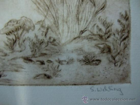 Arte: Grabado vegetaci&oacute;n - Foto 2