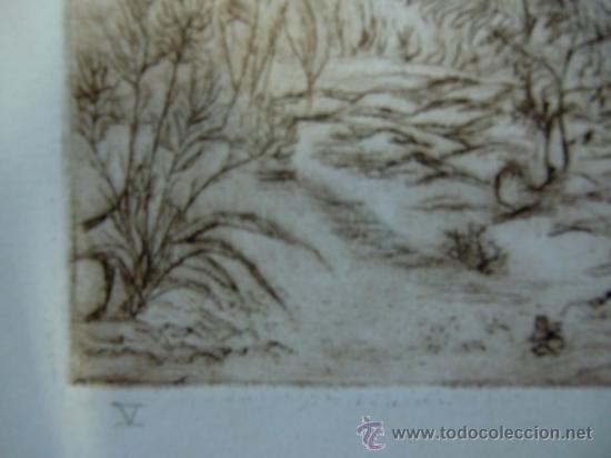 Arte: Grabado vegetaci&oacute;n - Foto 3
