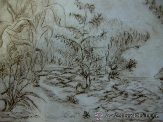 Arte: Grabado vegetaci&oacute;n - Foto 4