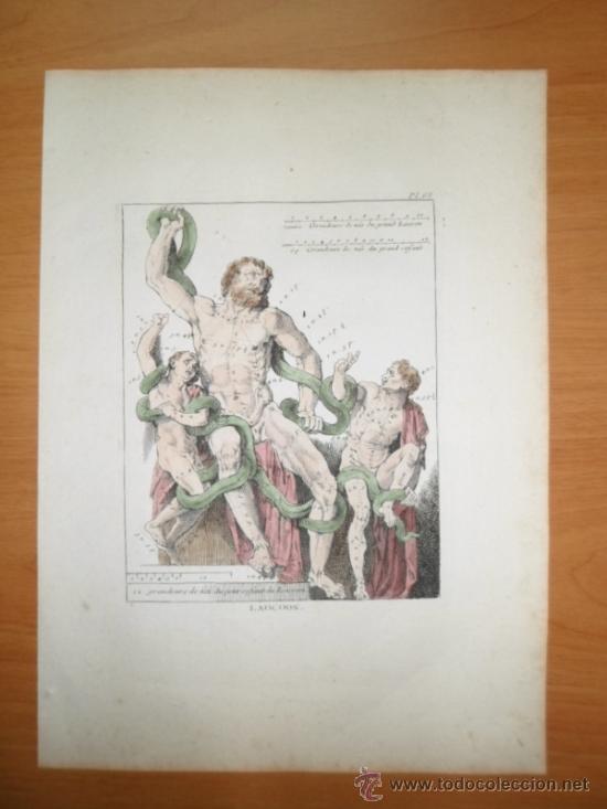Arte: Laocoonte, 1751, Jombert Cochin - Foto 2