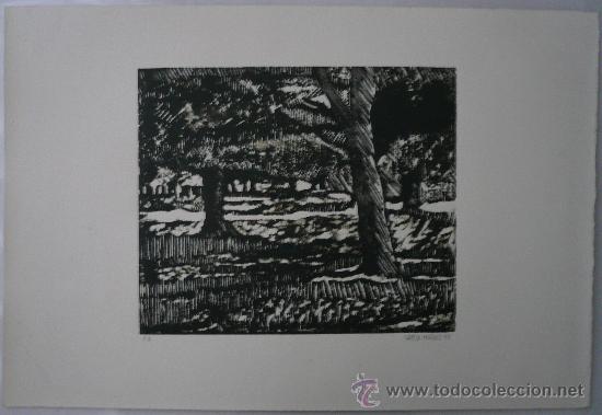 Arte: GRABADO - BOSQUE - Foto 1