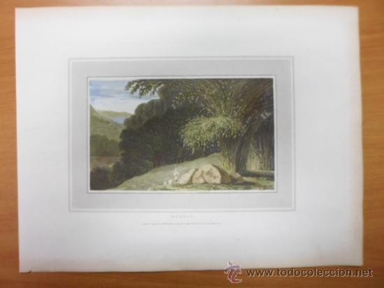 Arte: Bamboo, 1807, William Daniell - Foto 2