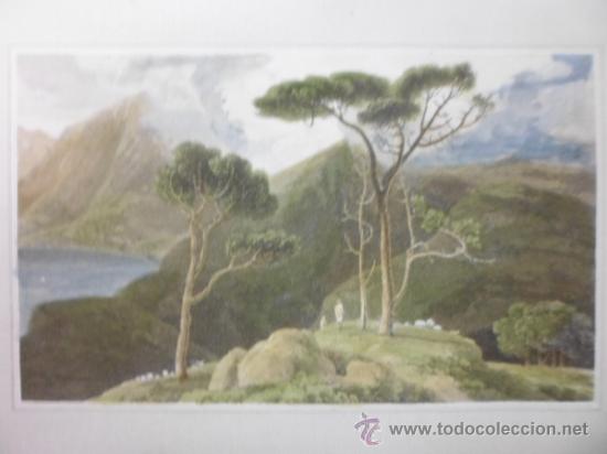 Arte: Abeto tropical, 1807, William Daniell - Foto 1