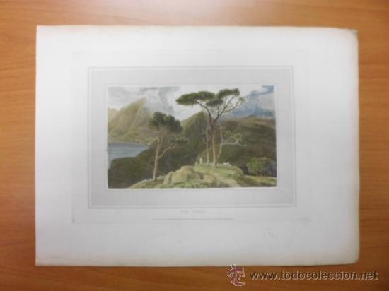 Arte: Abeto tropical, 1807, William Daniell - Foto 2