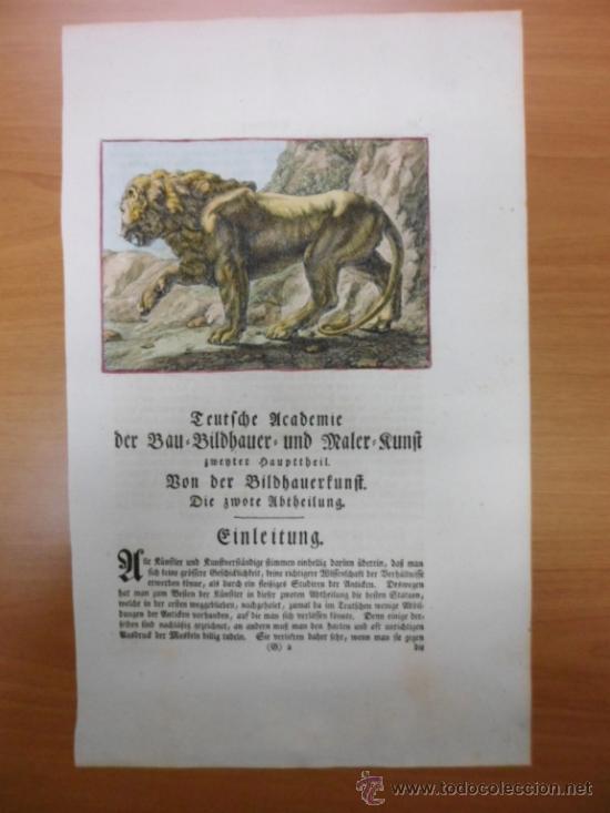 Arte: El le&oacute;n, 1679, Sandrart - Foto 1
