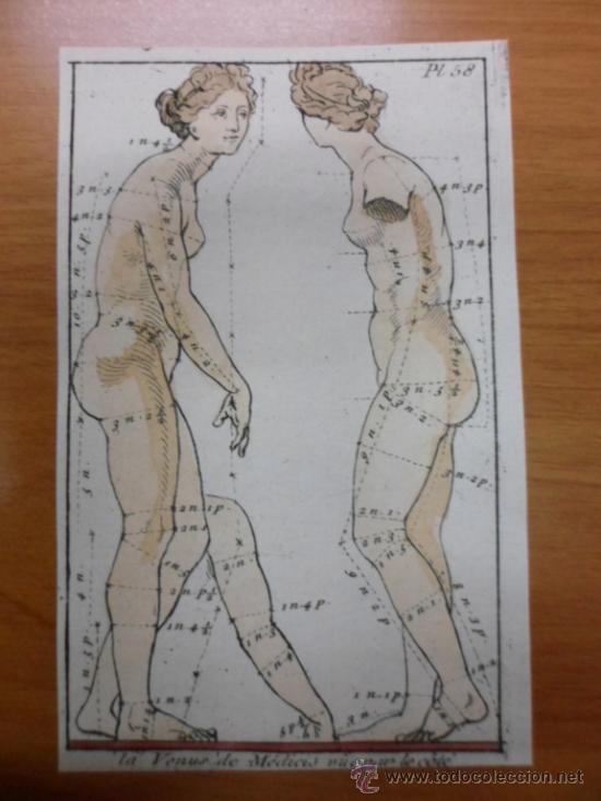 Arte: Desnudo de Venus, 1751, Jombert Cochin - Foto 3