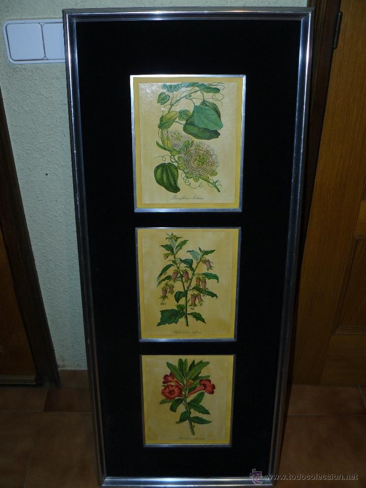 Arte: GRABADOS ENMARCADOS - Foto 1