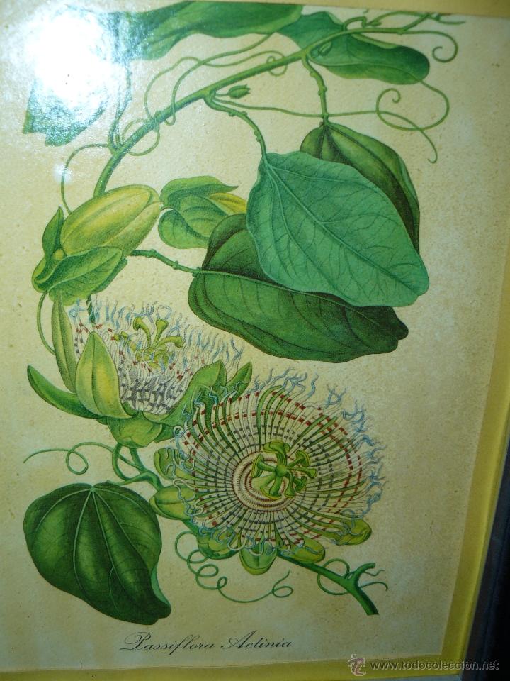 Arte: GRABADOS ENMARCADOS - Foto 2