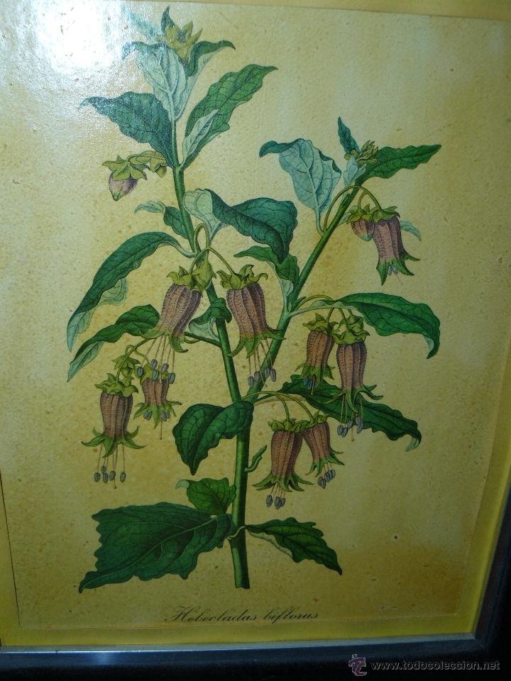 Arte: GRABADOS ENMARCADOS - Foto 3