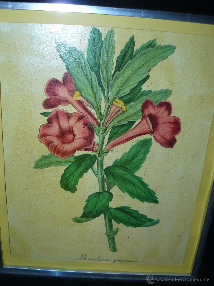 Arte: GRABADOS ENMARCADOS - Foto 4
